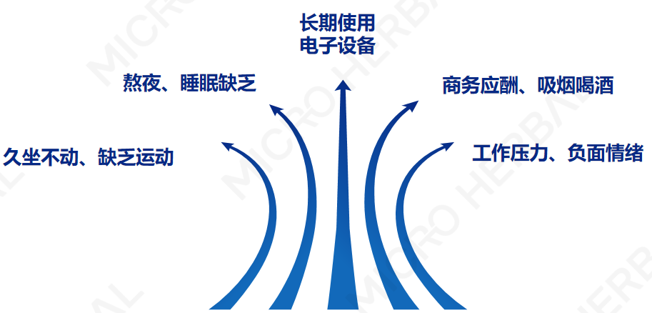 CA88(中国)唯一官方网站入口